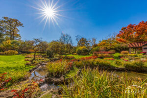 Smith Memorial Gardens in Oakwood Ohio on a pretty fall day with the blue sky magnifies the autumn colors