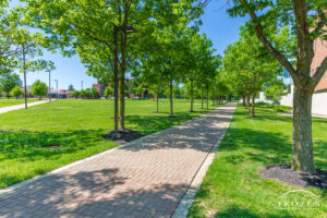 A tree-lined campus walkway on a pretty spring day at Wright State University