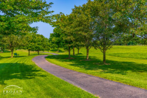 Under the hazy July skies, the walking path leads residents among the park’s trees