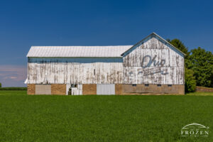 A large white barn surrounded by lush green crops where the barn's white paint is peeling and its Ohio Bicentennial Logo beginning to fade.