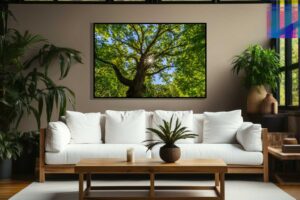 A fine art print in a room mock up featuring an ancient white oak tree that filters the morning sunlight on a pretty summer day.