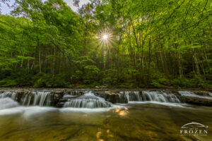 A tranquil West Virginia waterfall flows gracefully through the verdant woodlands of Camp Creek State Park, where the soft morning light filters through the canopy of trees.