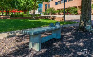 A bronze bench featuring two bowler or derby hats that pays tribute to the Wright Brothers. The bench resides under a shady tree and sits a few yards away from another sculpture created by the same artist, David E. Black.