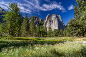 A view of Cathedral Rocks and Spires from the El Capitan Meadow under cool and clear blue skies