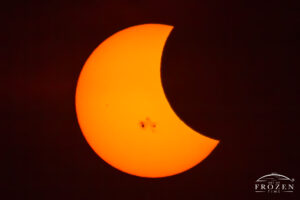 A close up view of a solar eclipse and prominent sunspots where the moon partially obscures the sun