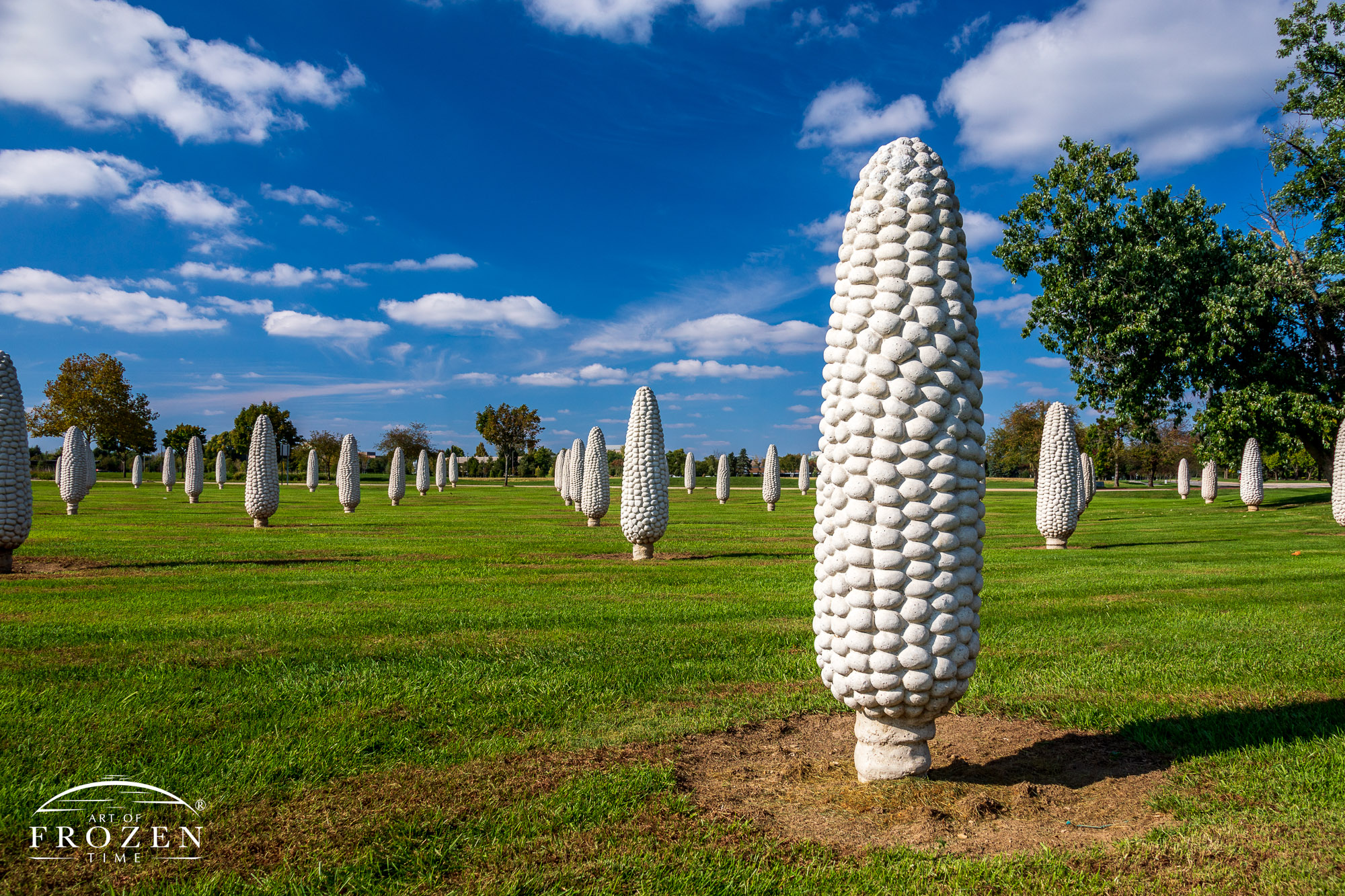 A field of six-foot tall concrete ears of corn which extends for many acres in Dublin Ohio