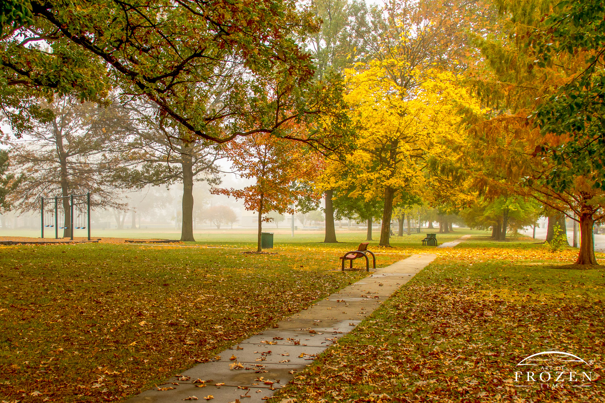 A park sidewalk leads the eye to a grove of trees displaying their atutmn colors as a fog settles over O’Fallon Illinois