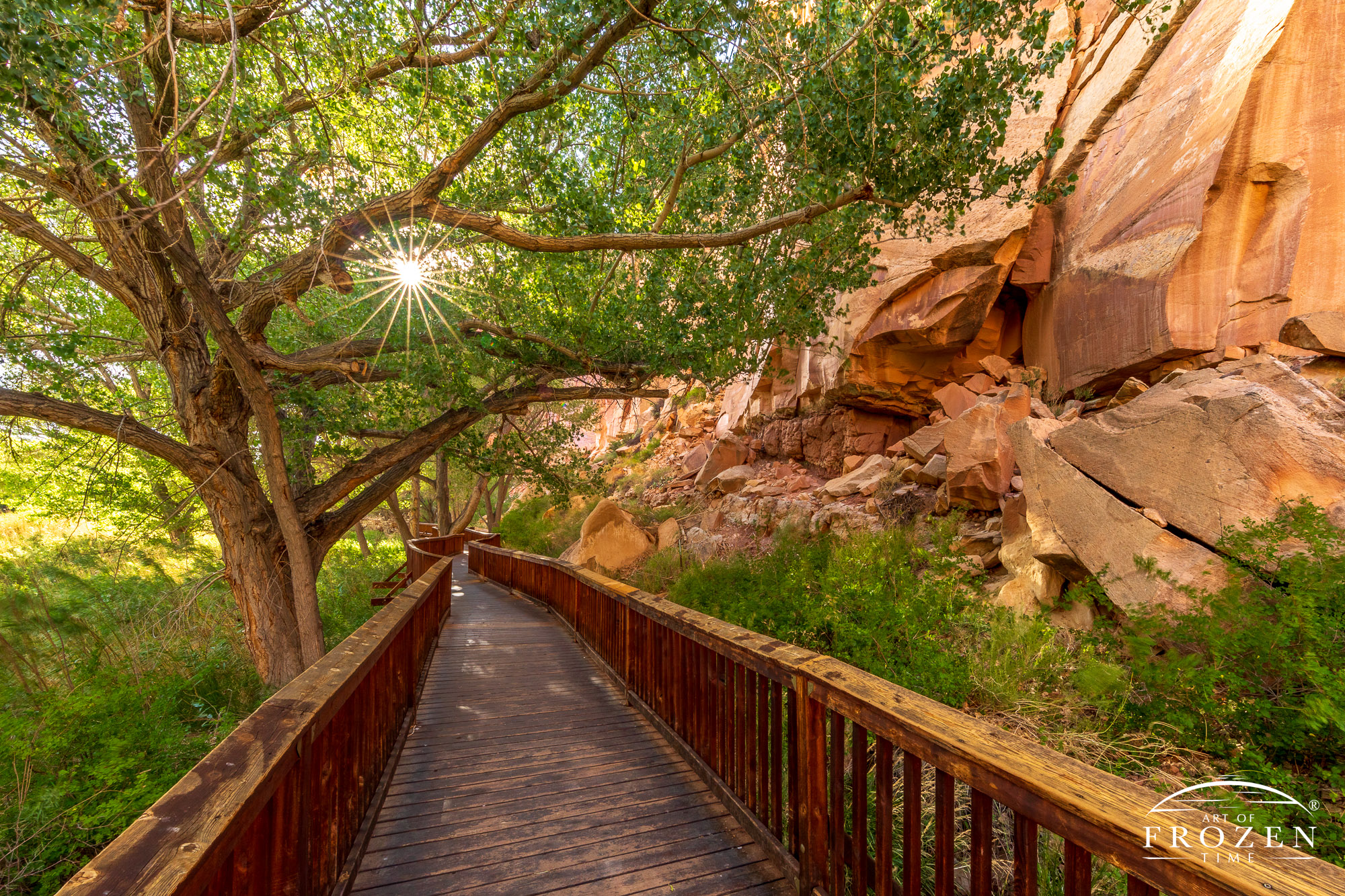 Boardwalk leads visitors under filtered sunlight by Freemont Culture Petroglyphs who occupied today’s Capitol Reef National Park