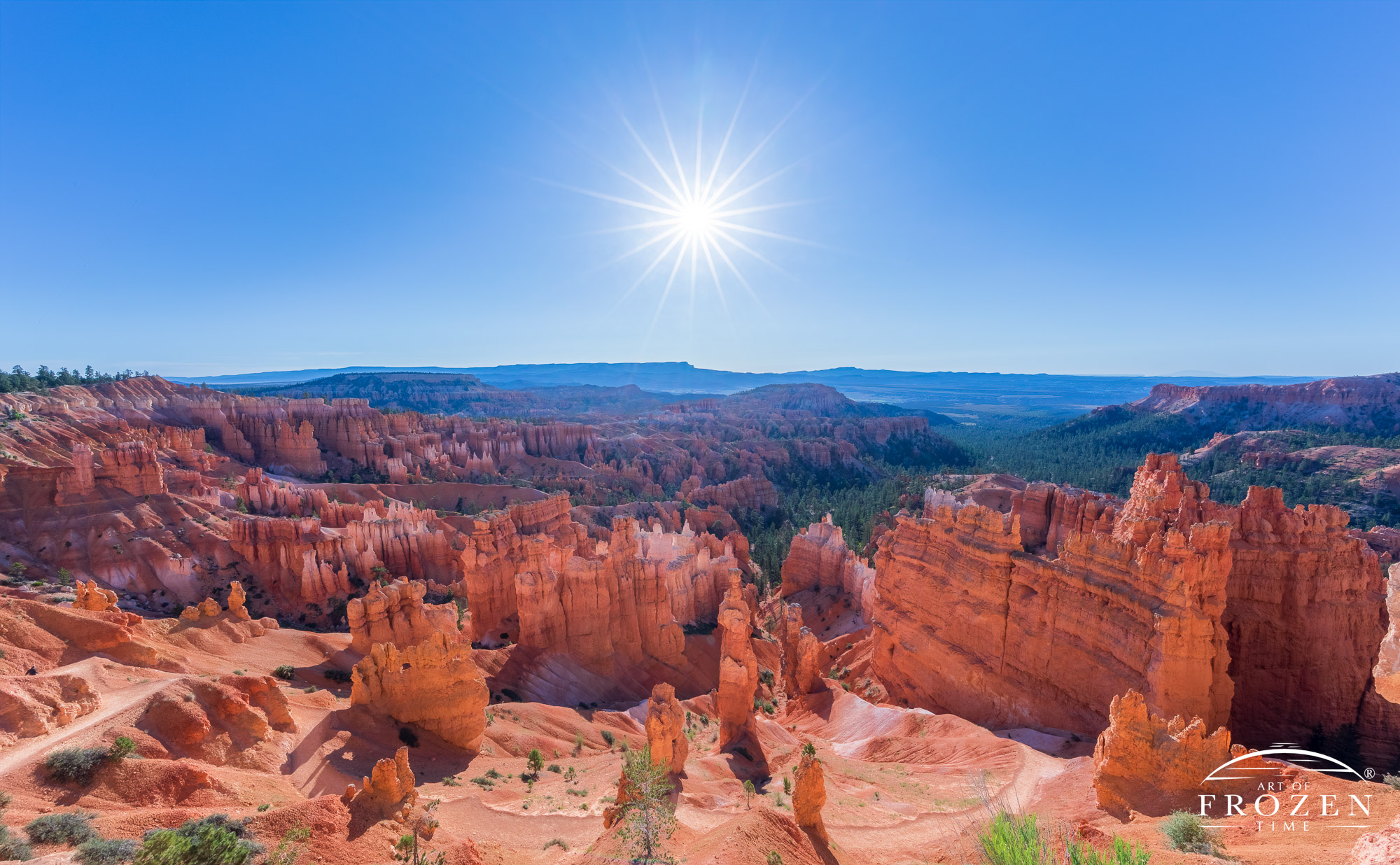 A wide-angle view of Bryce Canyon capturing the vastness of the natural amphitheater as seen from the canyon rim during a summer sunrise