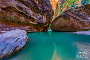 The Zion Narrows where the emerald-colored Virgin River flows around large red sandstone boulders