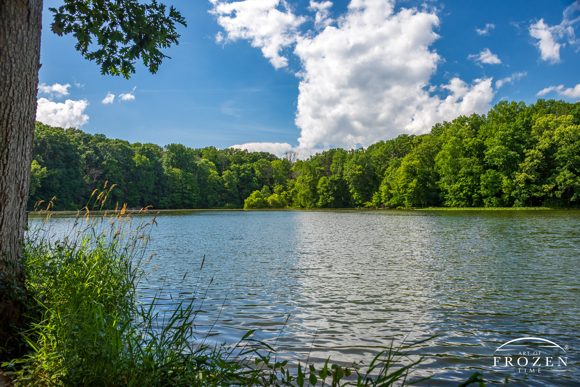 An Ohio lake scene at Hosterman Lake near Enon Ohio showing a tree-lined lake under blue skies