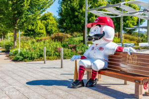 Cincinnati Reds Mr. Redlegs bench featuring a mustached baseball head in a historic team uniform.