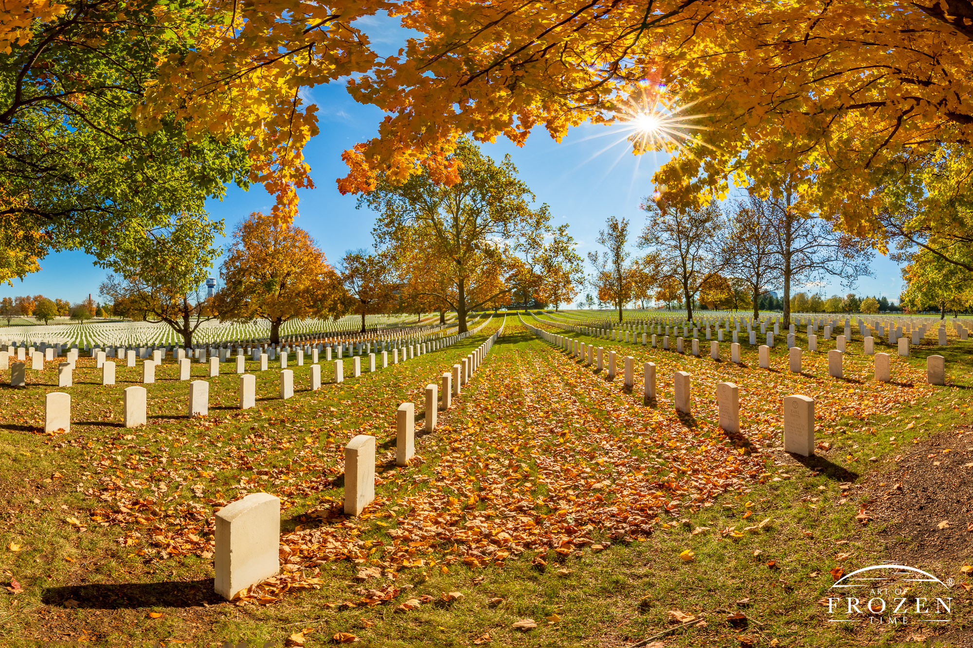 Panoramic image of Dayton National Cemetery on a colorful fall day where the backlit sun illuminated the golden leaves