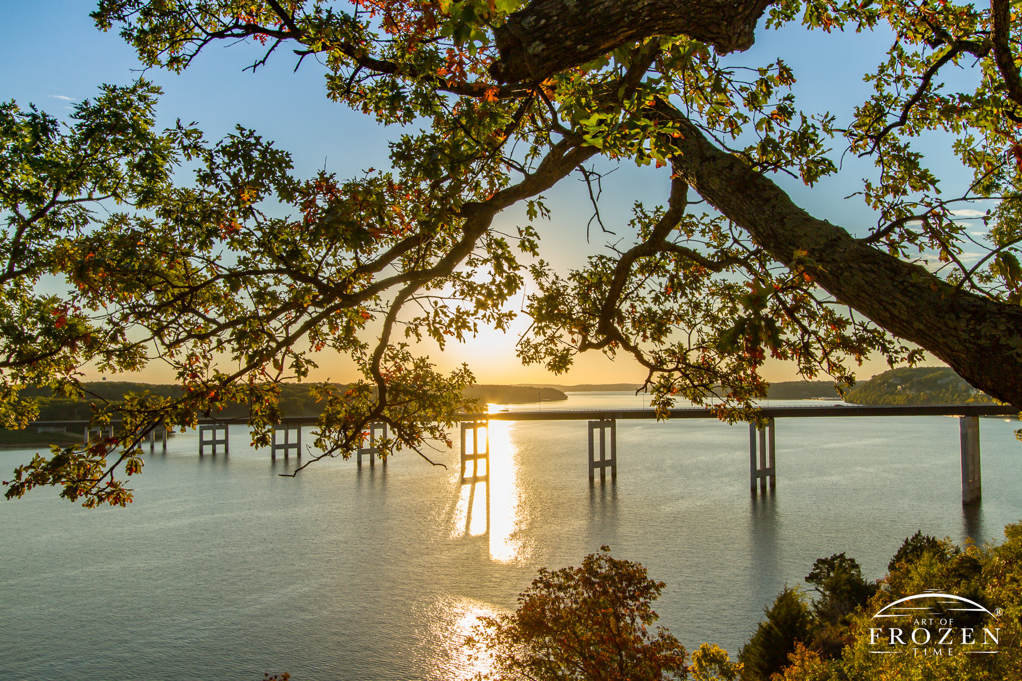 A back lit oak tree hanging over Shawnee Bluff at sunset as the Lake of the Ozarks Community Bridge crosses the lake and is silhouetted by the sun’s golden light.