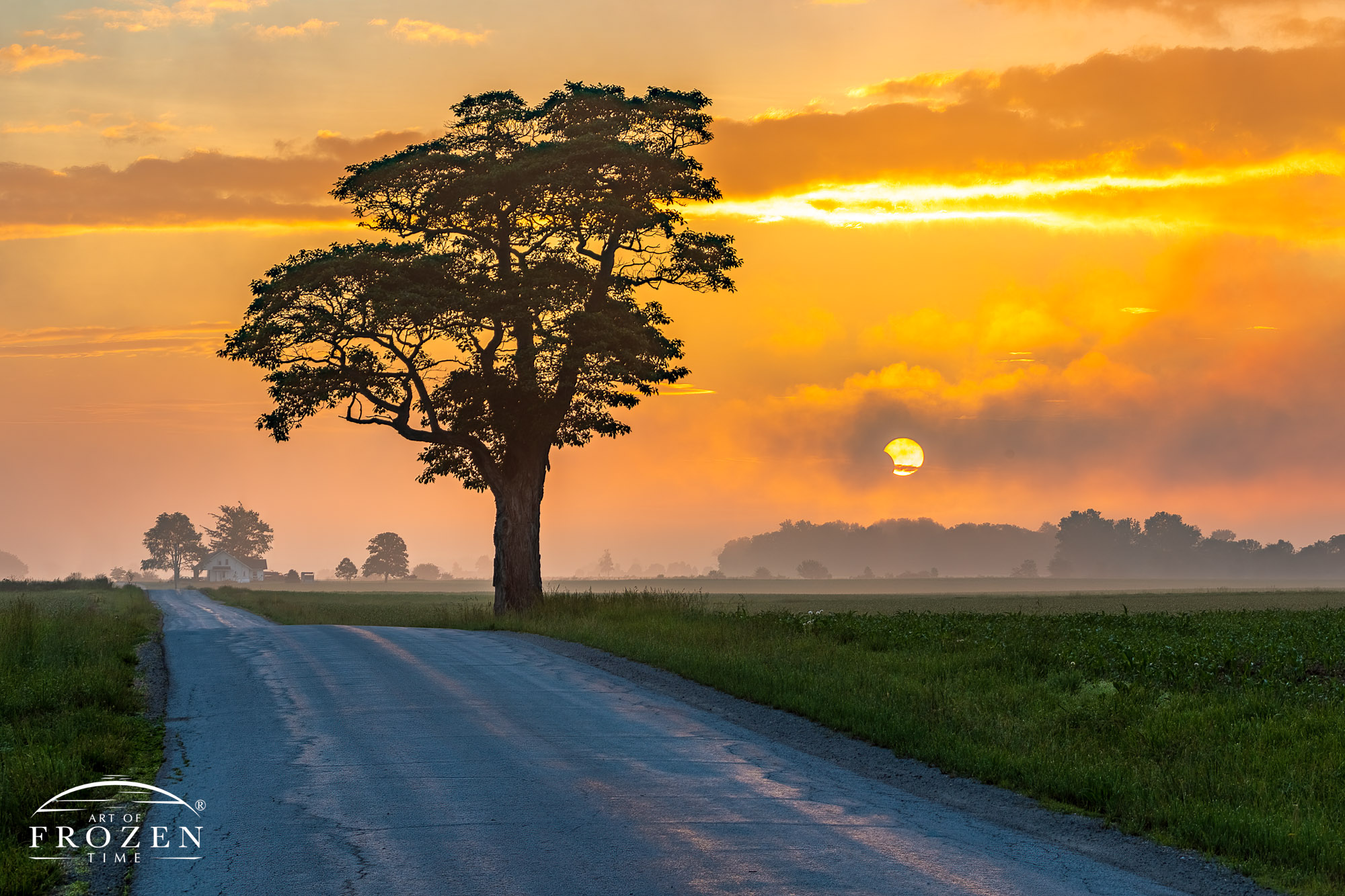 The sunlight from a partial solar eclipse at sunrise is filtered by an oncoming fog creating a brief but intriguing scene