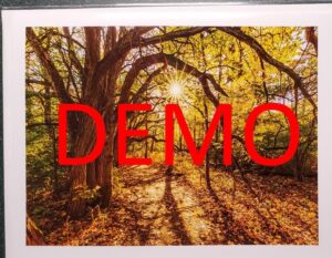 Notecard Demo