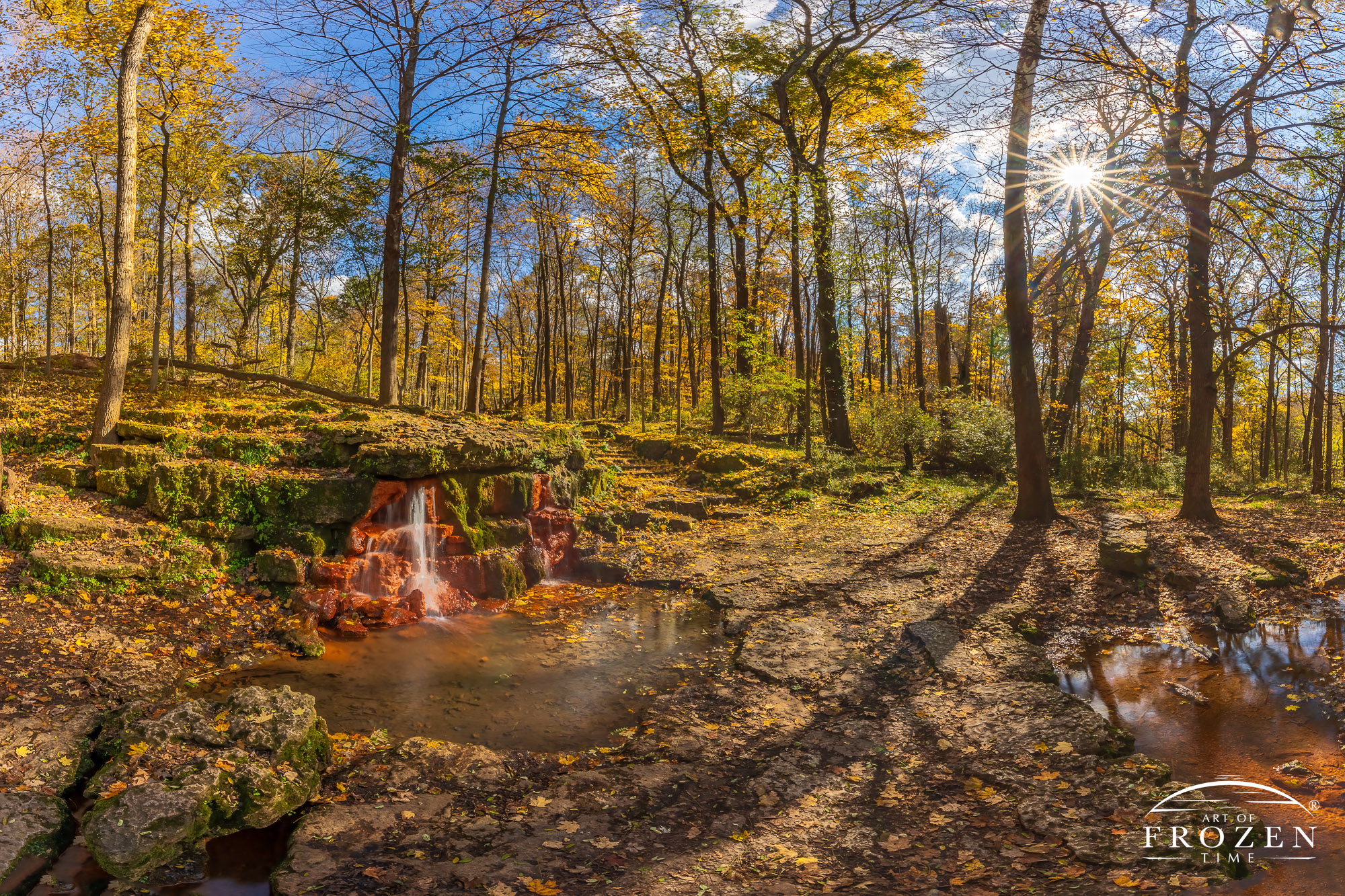An autumn scene from Glen Helen Nature Preserve where the bright sun illuminates the park’s sugar maple leaves