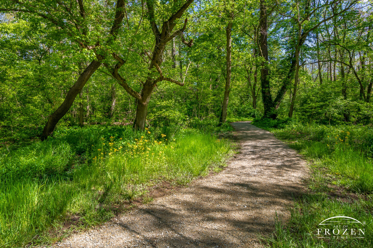 Beaver Creek Wetlands Nature Reserve Trail, Beavercreek Ohio No. 4 