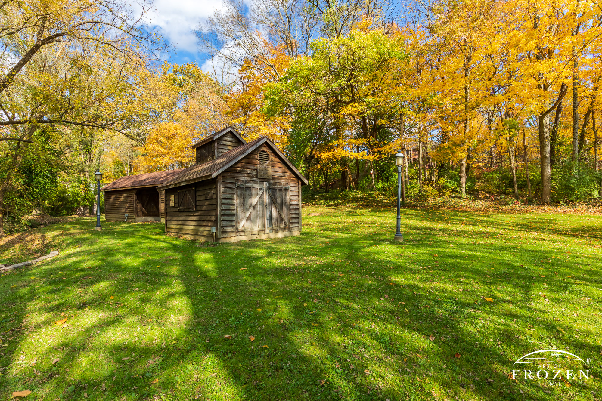 A Bellbrook Ohio wood shed surrounded by sugar maple trees displaying their bright yellow leaves