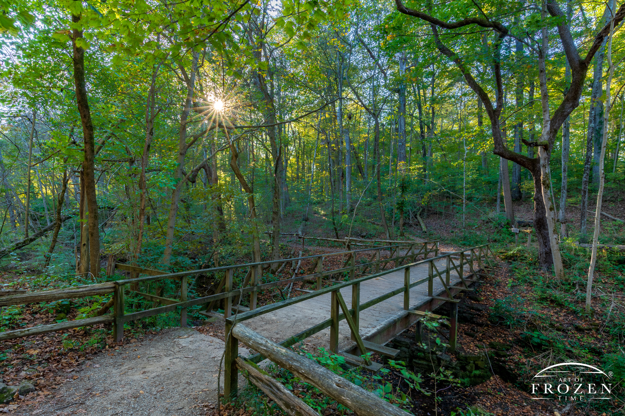 Wooden bridge spanning a creek as trees filter the golden light from the setting sun