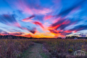 A trail through a tall grass prairie leads the viewer’s eye to colorful cirrus clouds at sunset