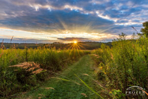 A trail through a tall grass prairie leads the eye to the horizon where crepuscular rays extend from the rising sun