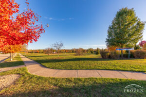 A park sidewalk in Beavercreek Ohio passes by a row of maple trees displaying bright orange leaves in evening light