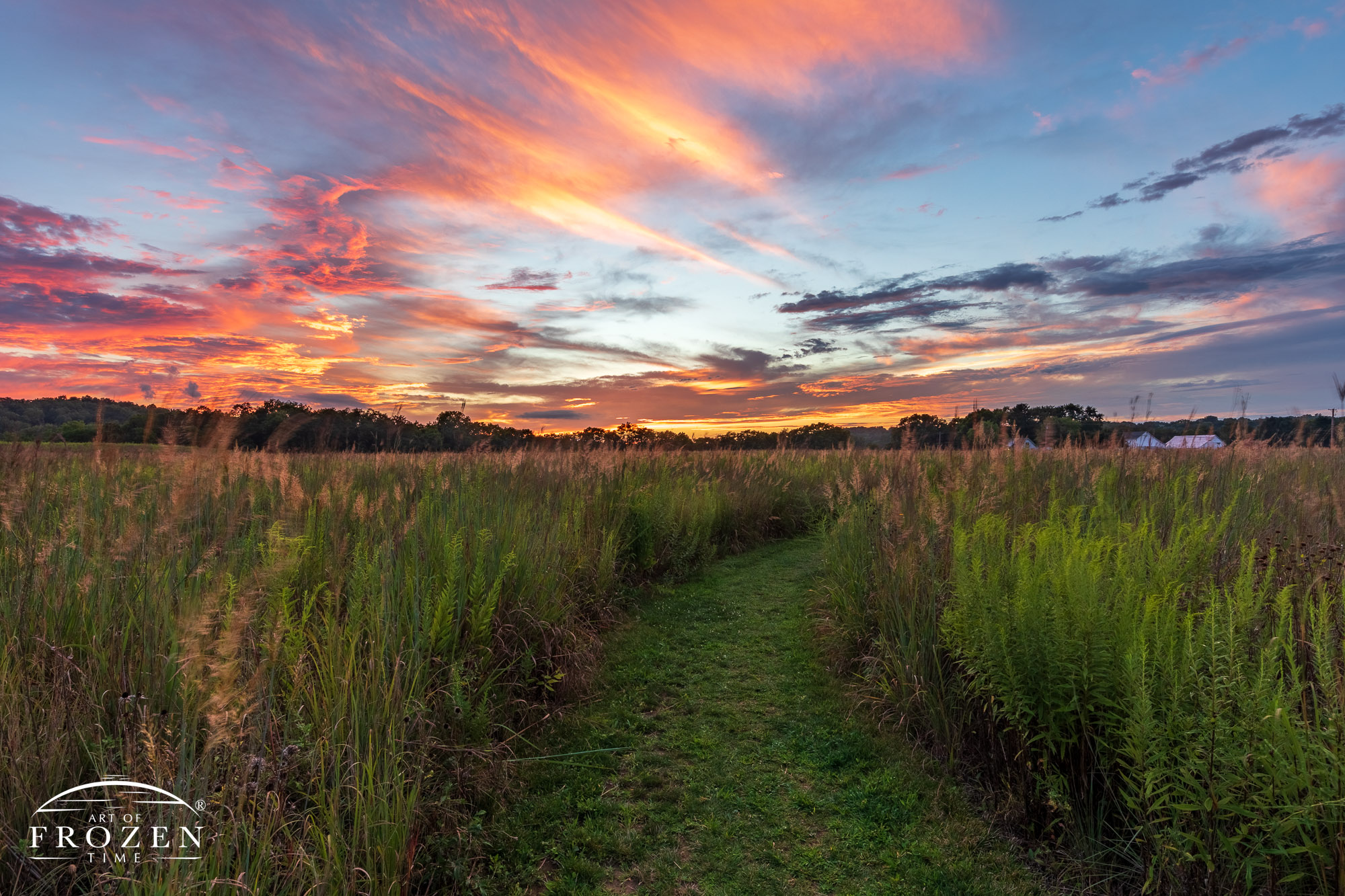A trail through a tall grass prairie lies under the skies of a colorful sunset