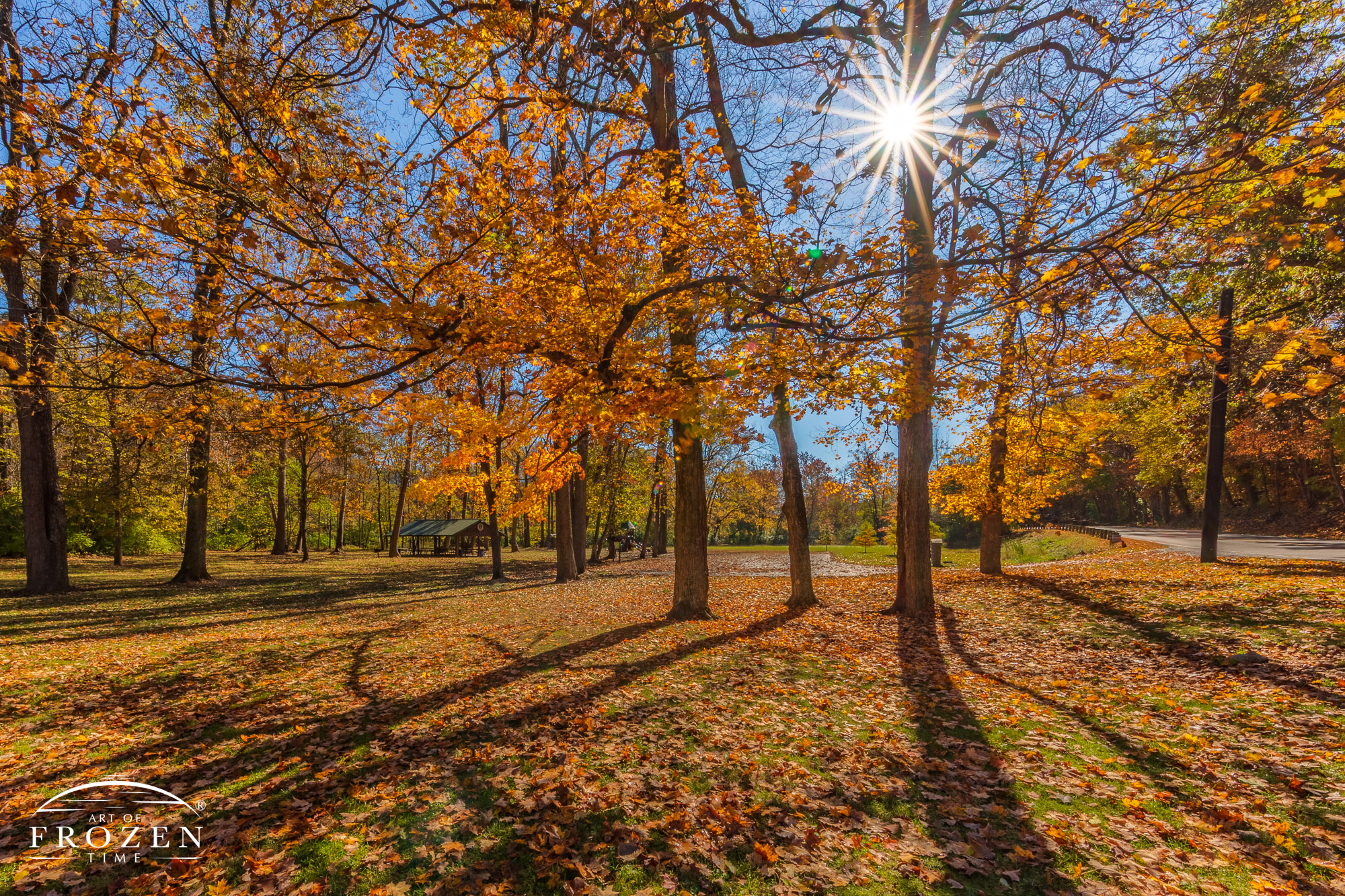 A small playground park in Bellbrook Ohio where the sun backlights the mature trees displaying their rich fall color