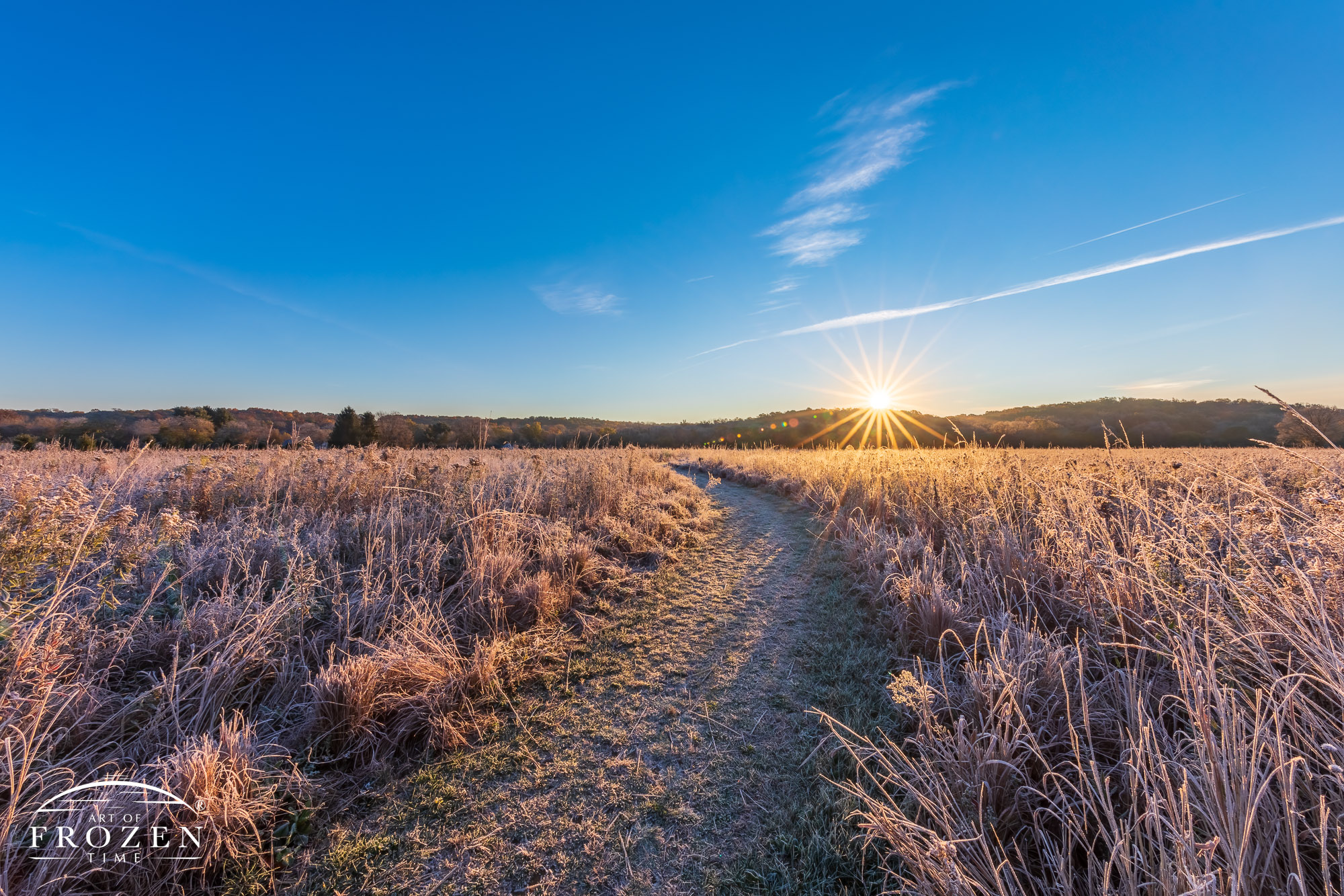 A heavily frosted tall grass prairie where a foot path leads the eye towards the sun just breaking the horizon