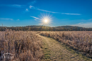A heavily frosted tall grass prairie where a foot path leads the eye towards the sun just breaking the horizon