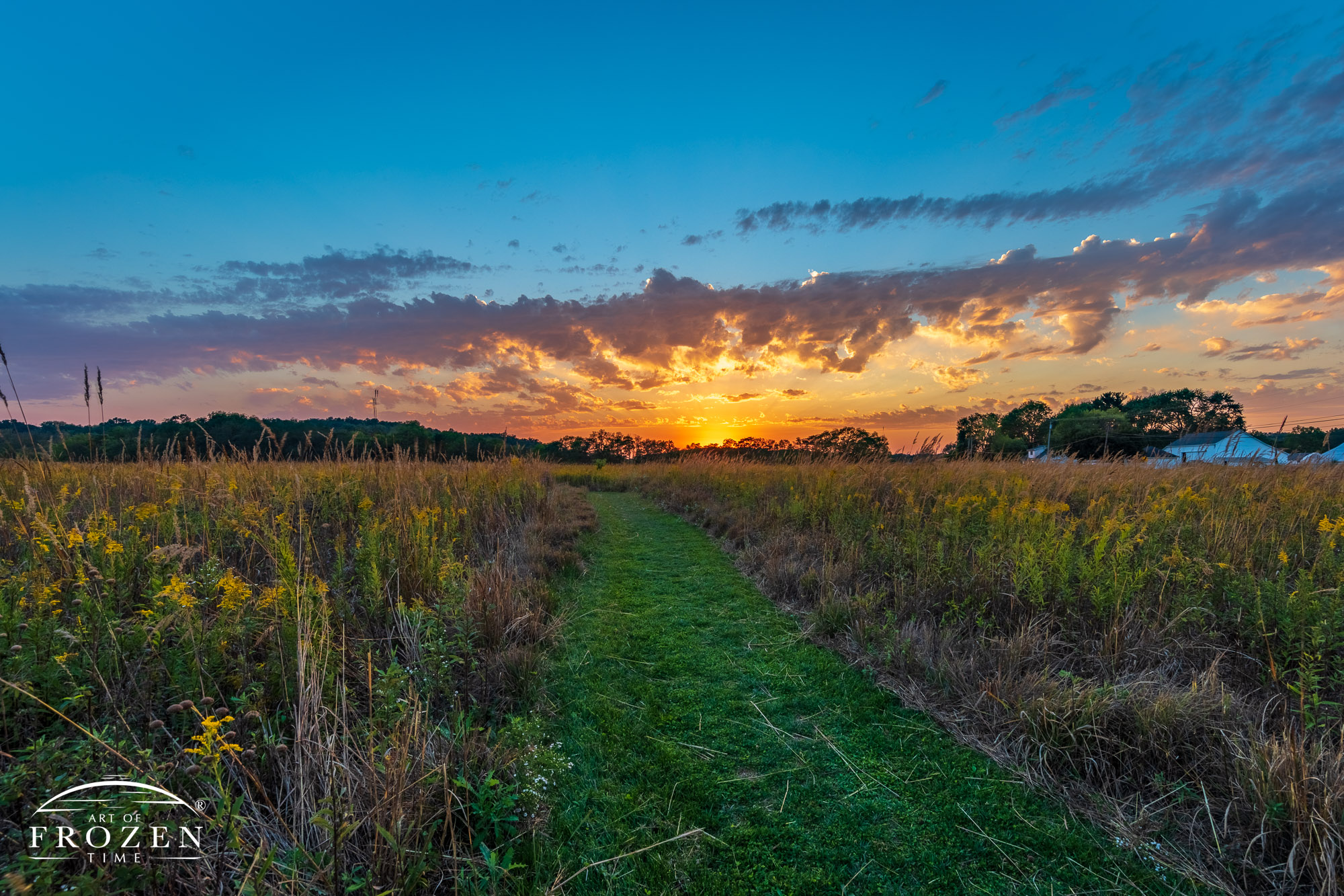 A trail through a tall grass prairie hosting golden rods during a colorful sunset