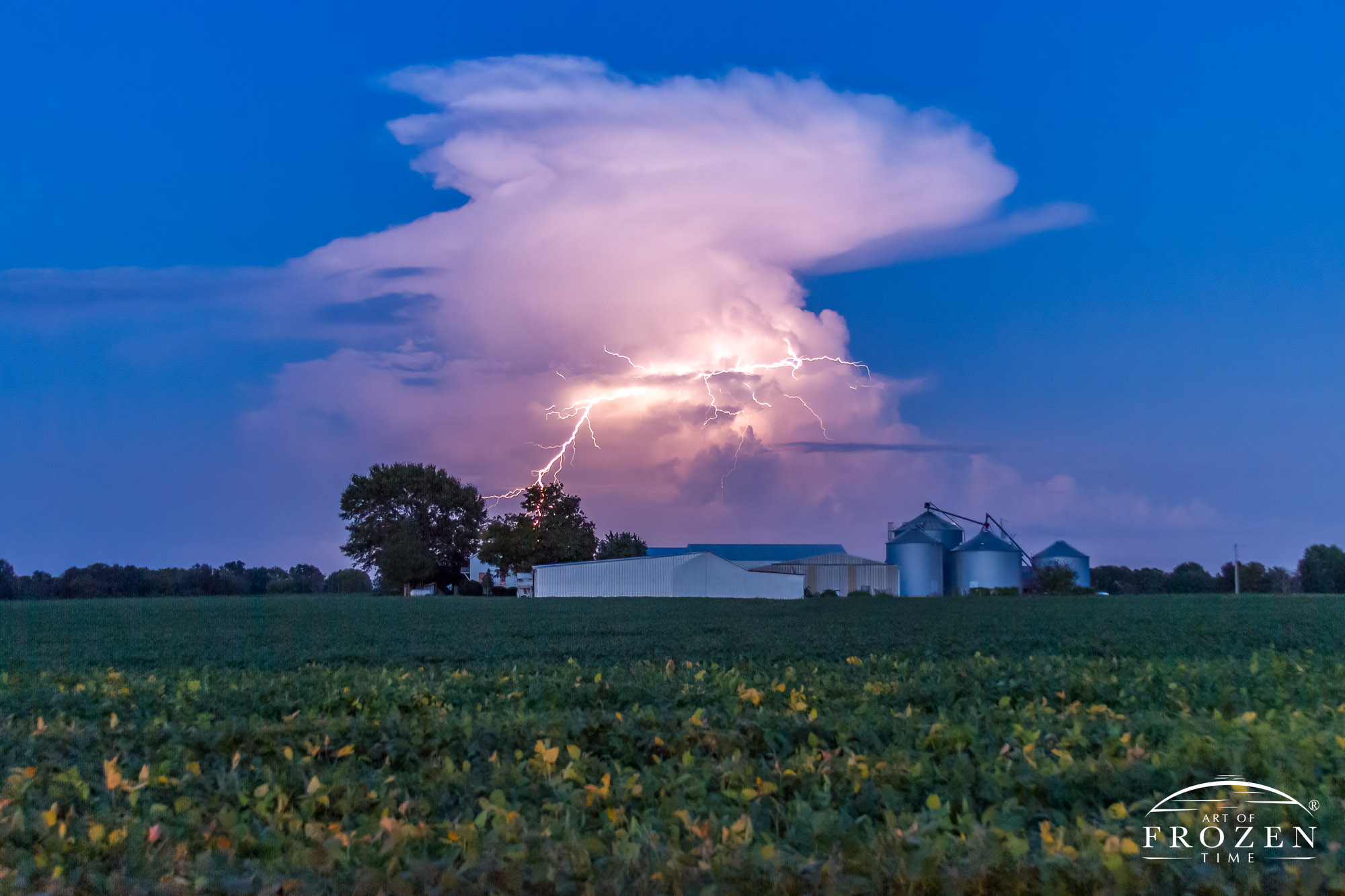 Twilight over a Highland Illinois farm where an isolated thunderstorm produces cloud to ground lightening for a dramatic scene