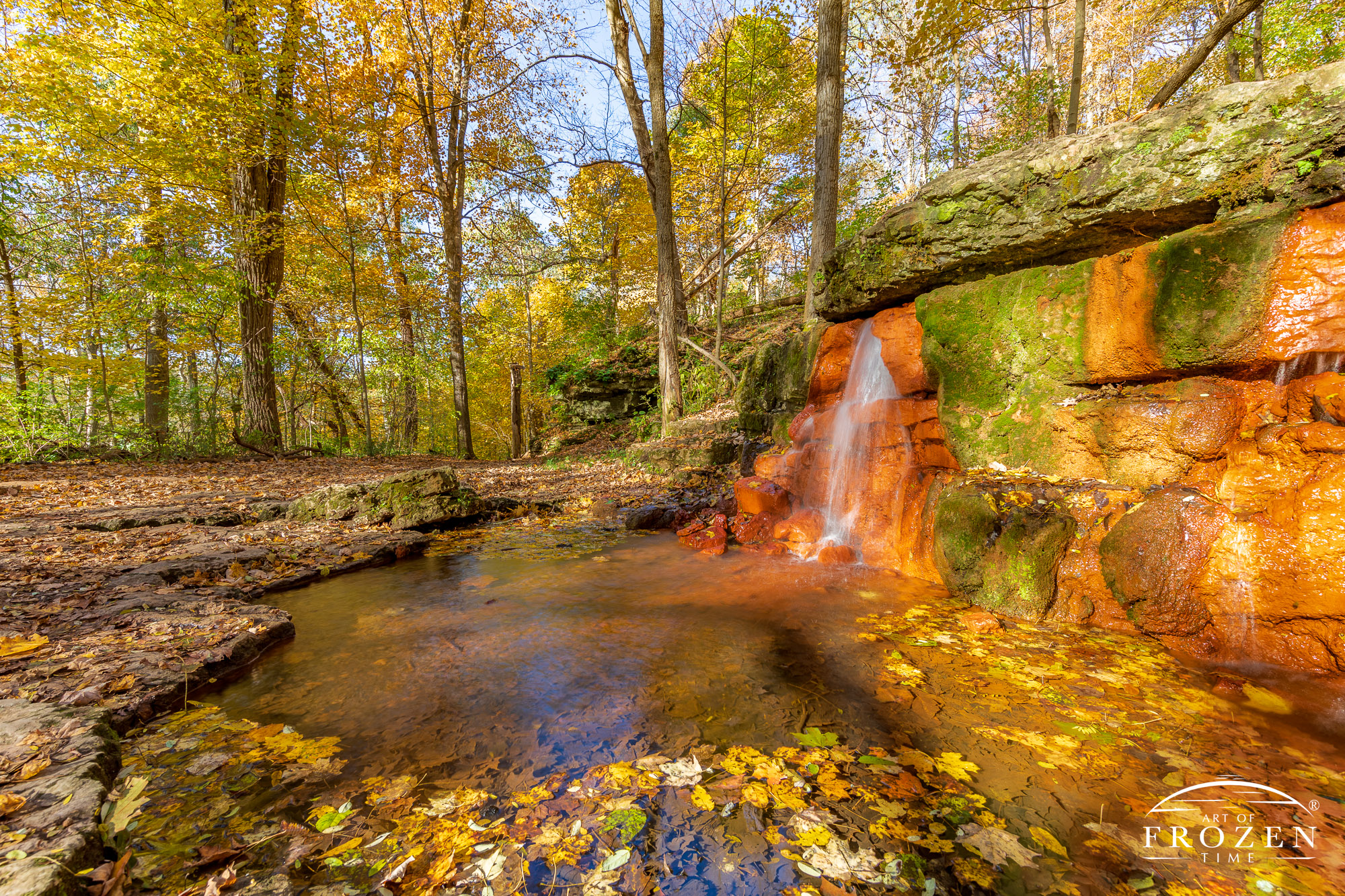 A side view of The Yellow Springs in Glen Helen Nature Preserve as the sugar maple leaves are filling the waterfall pool