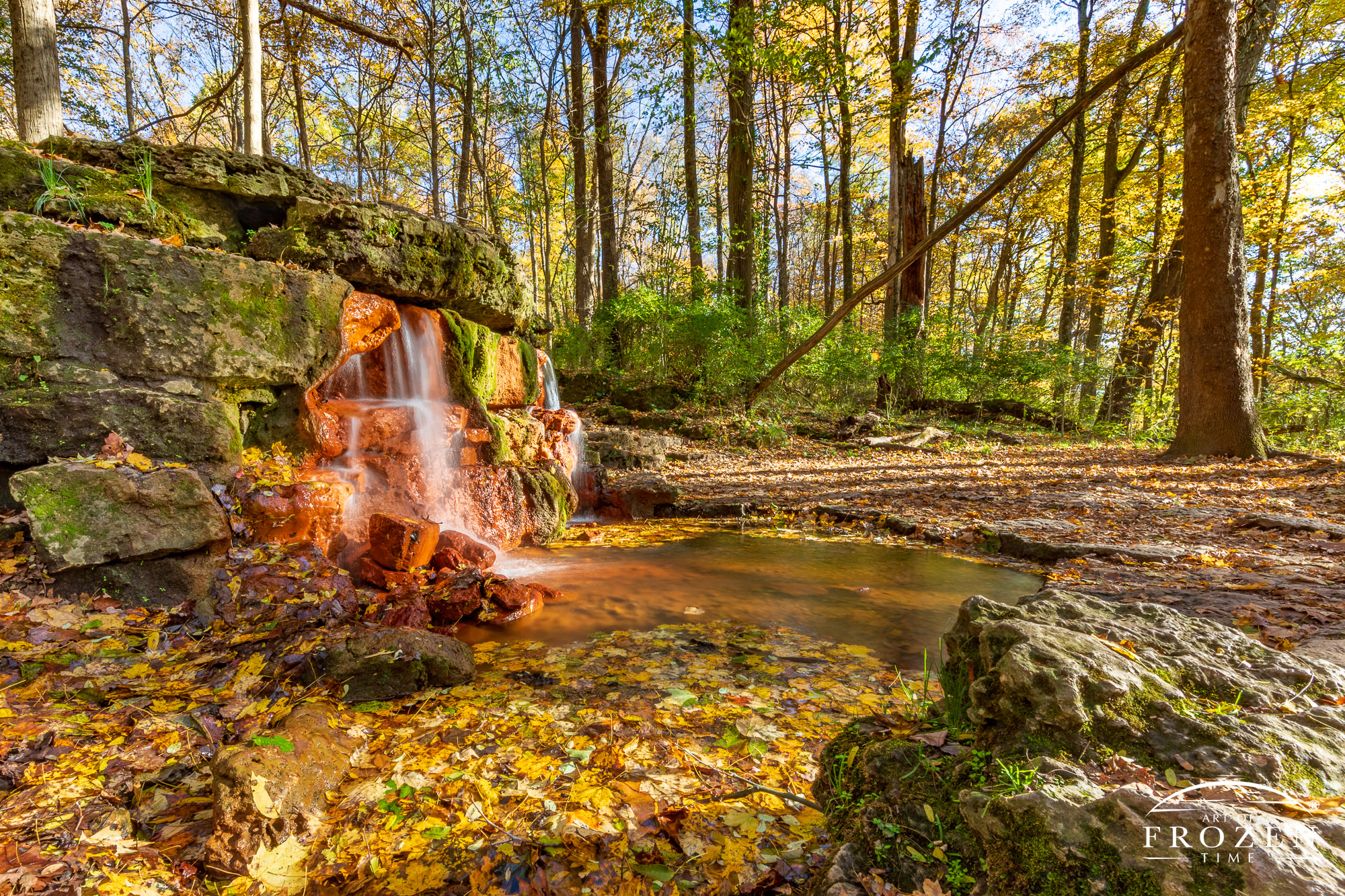 The Yellow Springs of Glen Helen Nature Preserve is a small dependable waterfall, where on this fall day holds golden Sugar Maple leaves basking in the evening lightch the evening sun warmly illuminated, thereby creating this colorful scene.