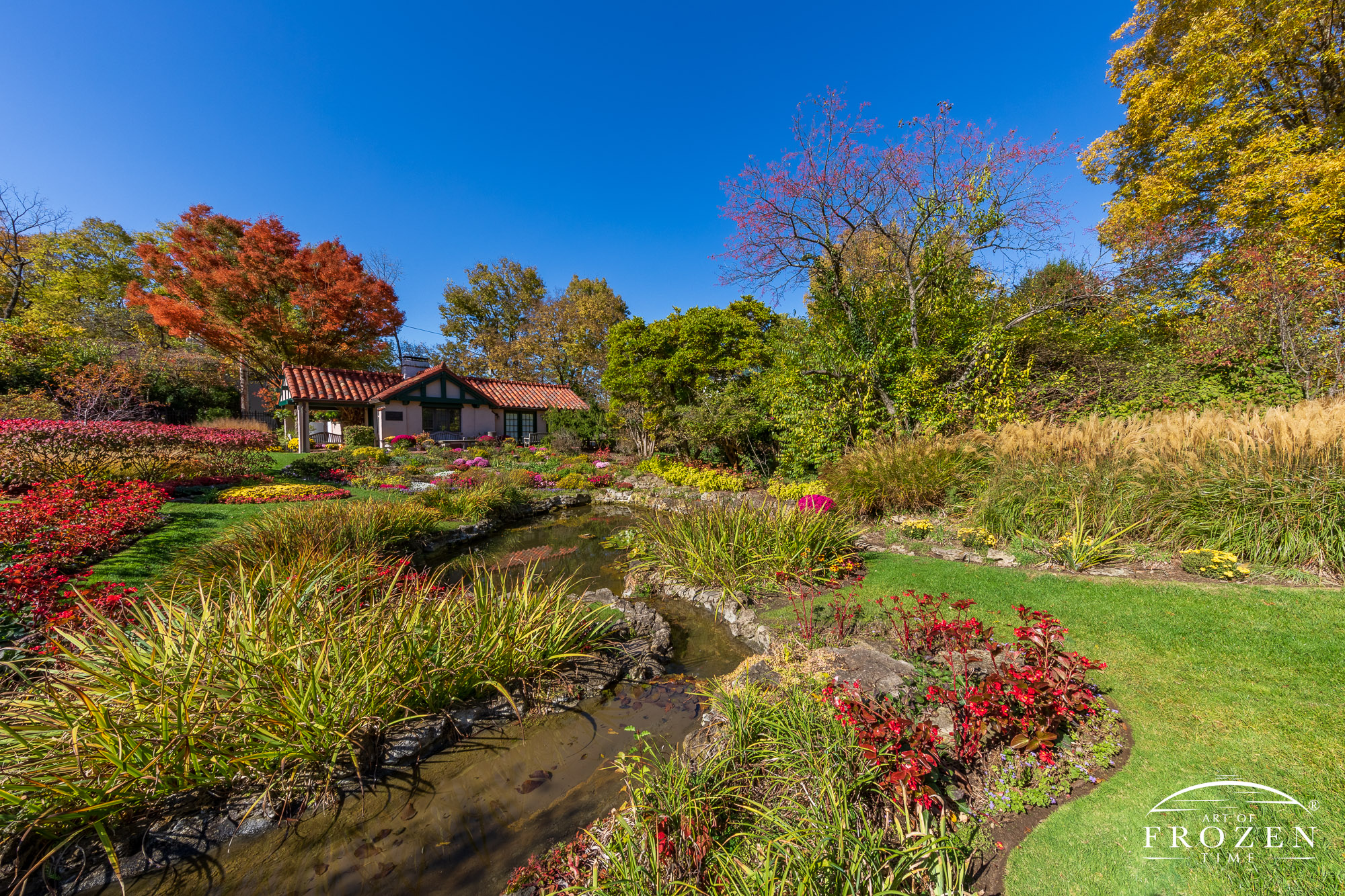 Under burning autumn blue skies, the Smith Memorial Gardens offers a visual wonder with the trees transiting from green to orange and the rich colored vegetation surrounding the garden pond