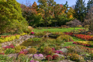 An autumn garden adorned with mums surrounding a small garden pond.