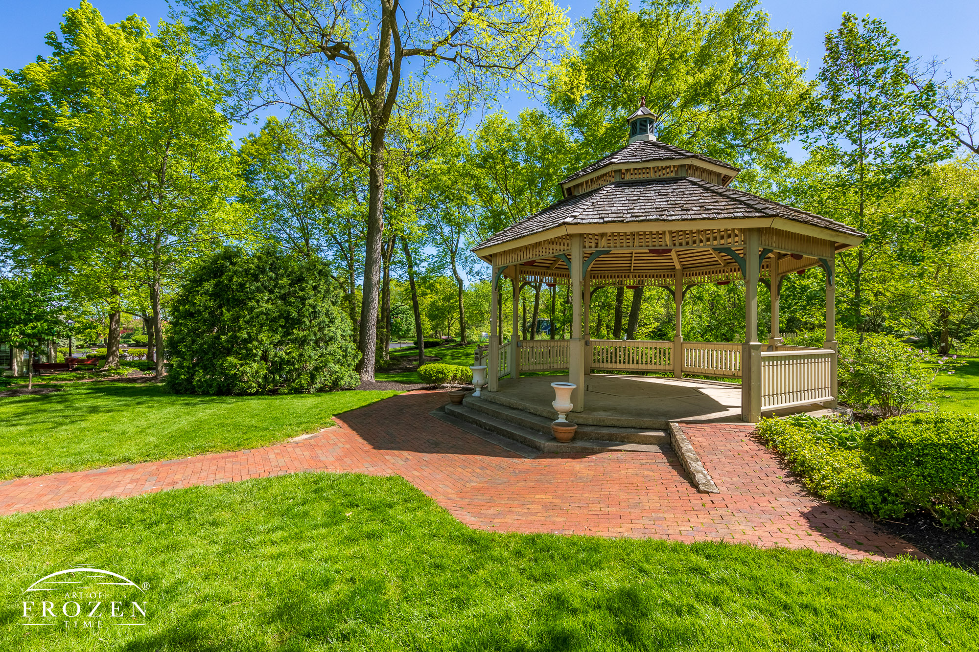 A large gazebo at Benham’s Grove stands among tall trees completing their spring leaf out