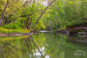 A springtime view of Clifton Gorge’s Blue Hole where the turbulent river briefly calms in a peaceful pool