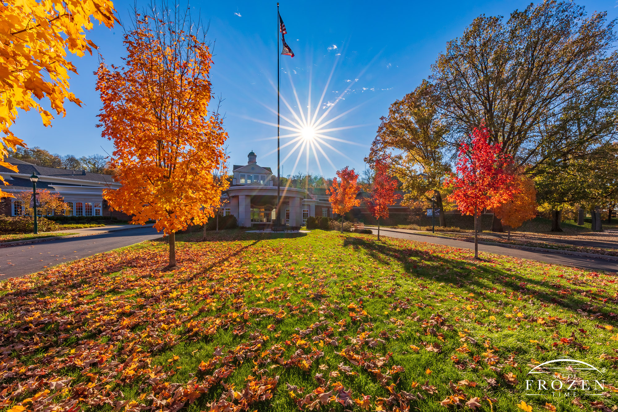 An alle front of Carillon Historical Park where the low-angled sun backlit the autumn leaves