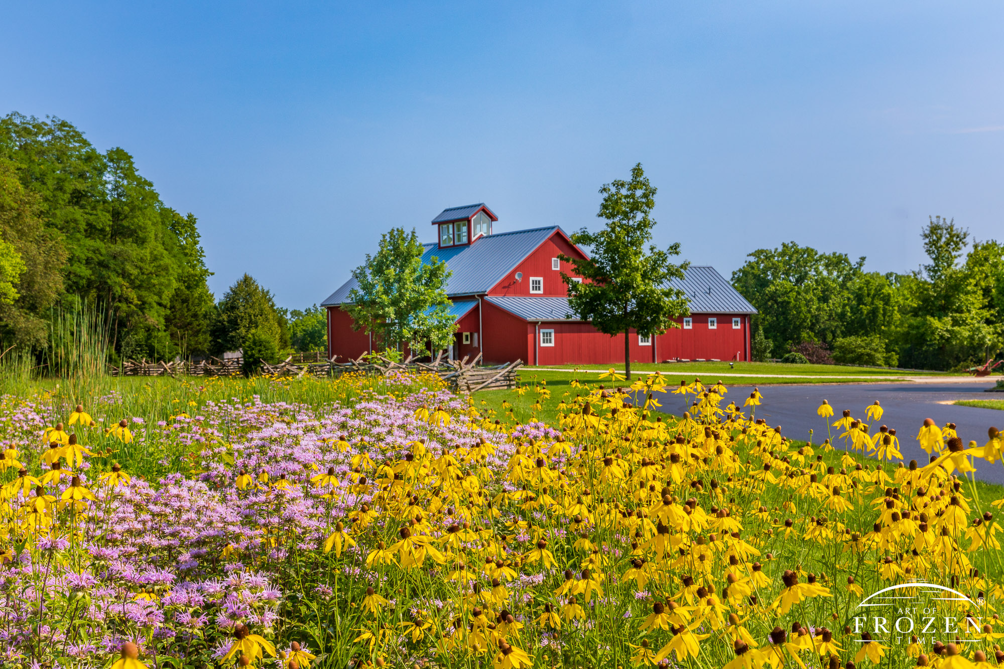 A field of Wild Bergamot and Grey-headed Coneflower in the foreground as the bright red Carriage Hill Visitor Center resides in the background.