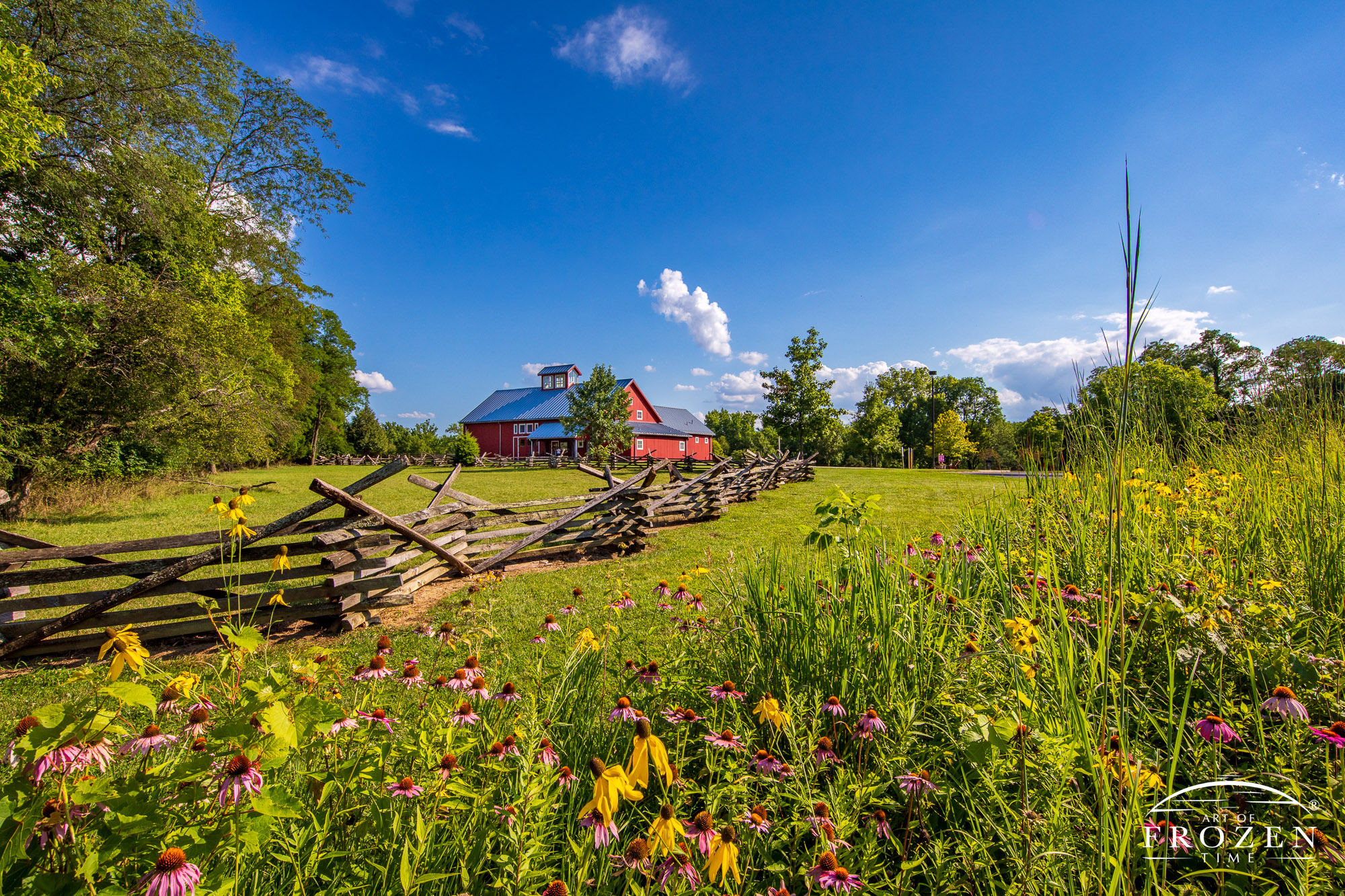 Ohio native wildflowers next to a stacked, split-rail fence leading to the bright red visitor center at Carriage Hill MetroPark