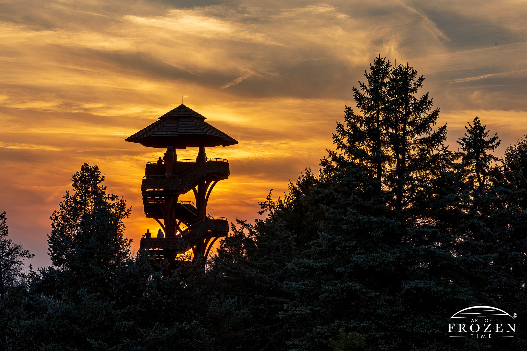 A sunset silhouette of the Cox Arboretum MetroPark Tree Tower as high cirrus clouds filter the warm light