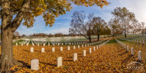 An autumn panorama of Dayton National Cemetery where white marble headstones stretch towards the horizon under fall colored leaves