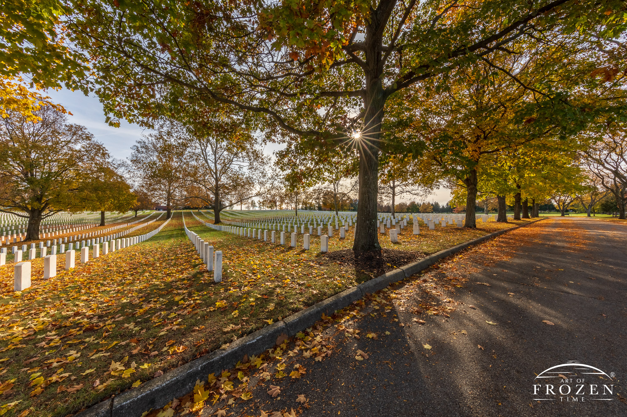 A tree sporting its fall colors filters the autumn evening light as it stands among rows of white marble headstones at Dayton National Cemetery
