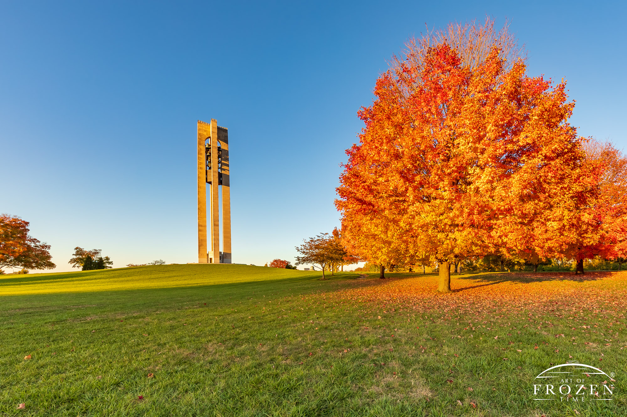 Deeds Carillon gently painted in gold light as autumn colored leaves seem to glow on this fall evening.