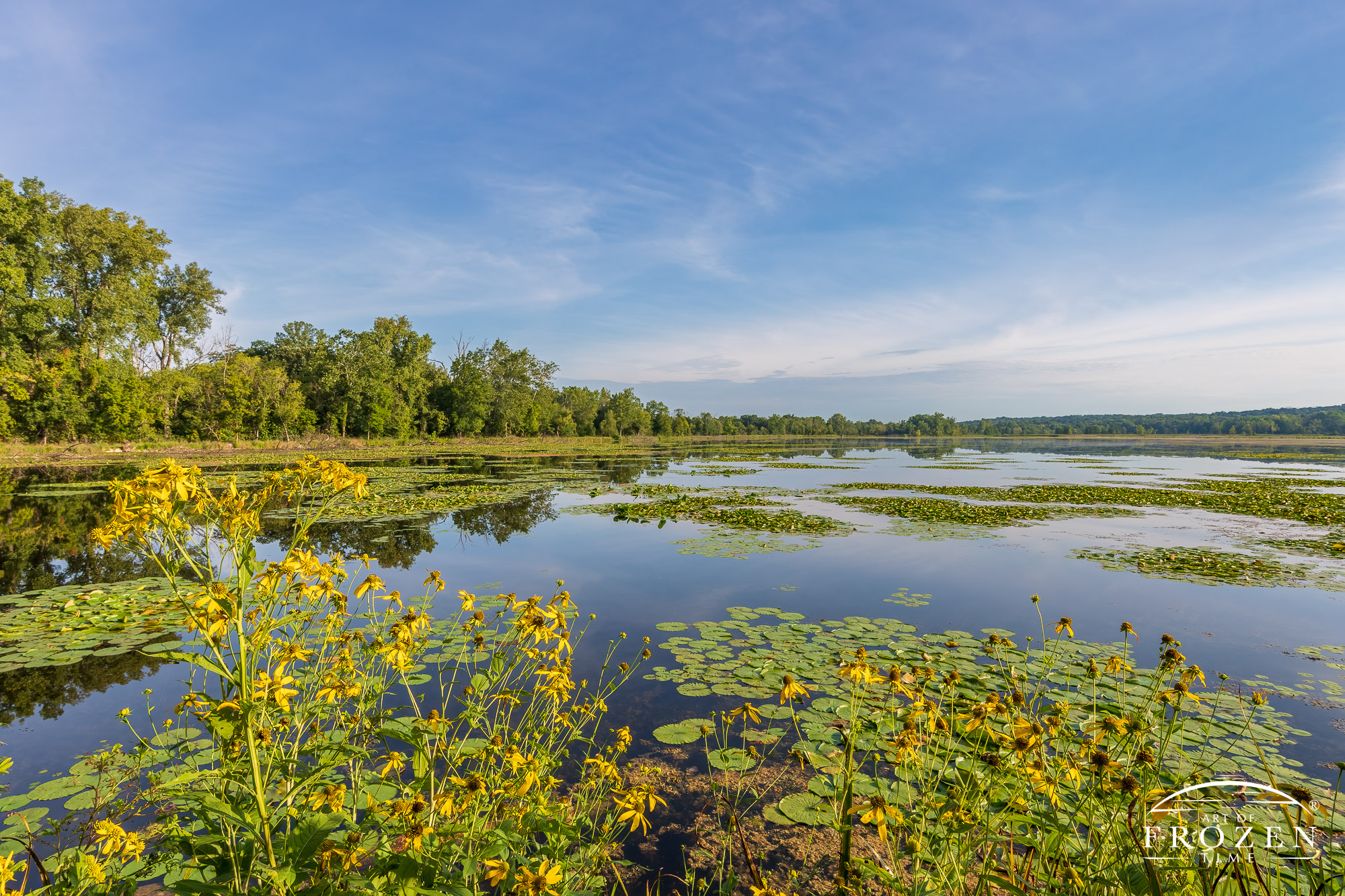 A morning image of an Ohio marsh were the still surface waters form a perfect reflection of the blue sky and surround green vegetation