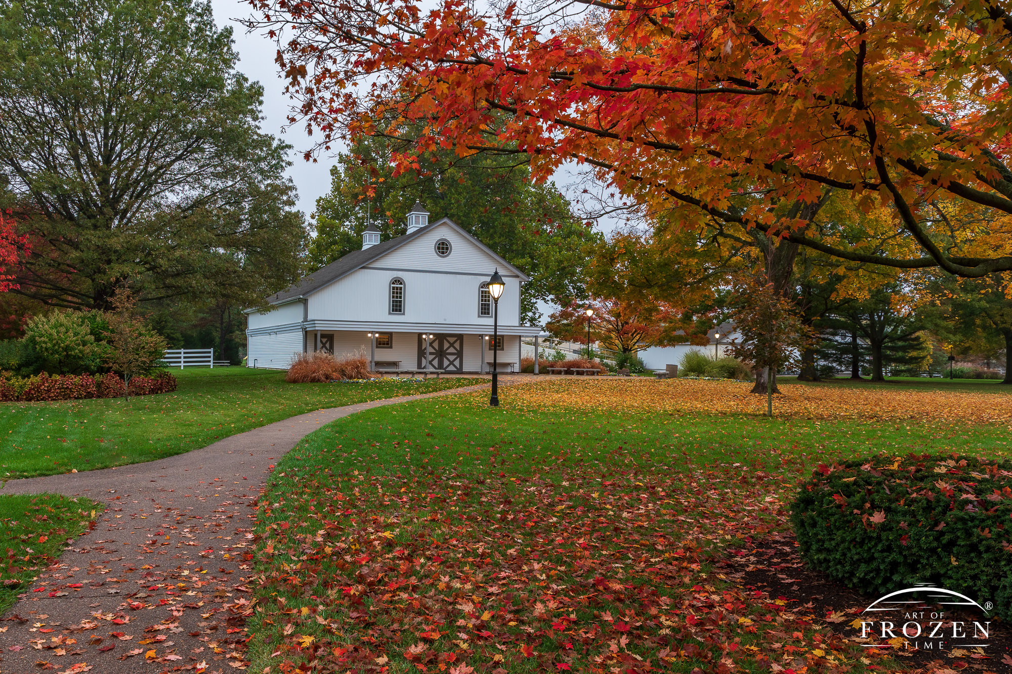 A walking path leading the view under colorful maple trees towards a barn on a raining autumn evening