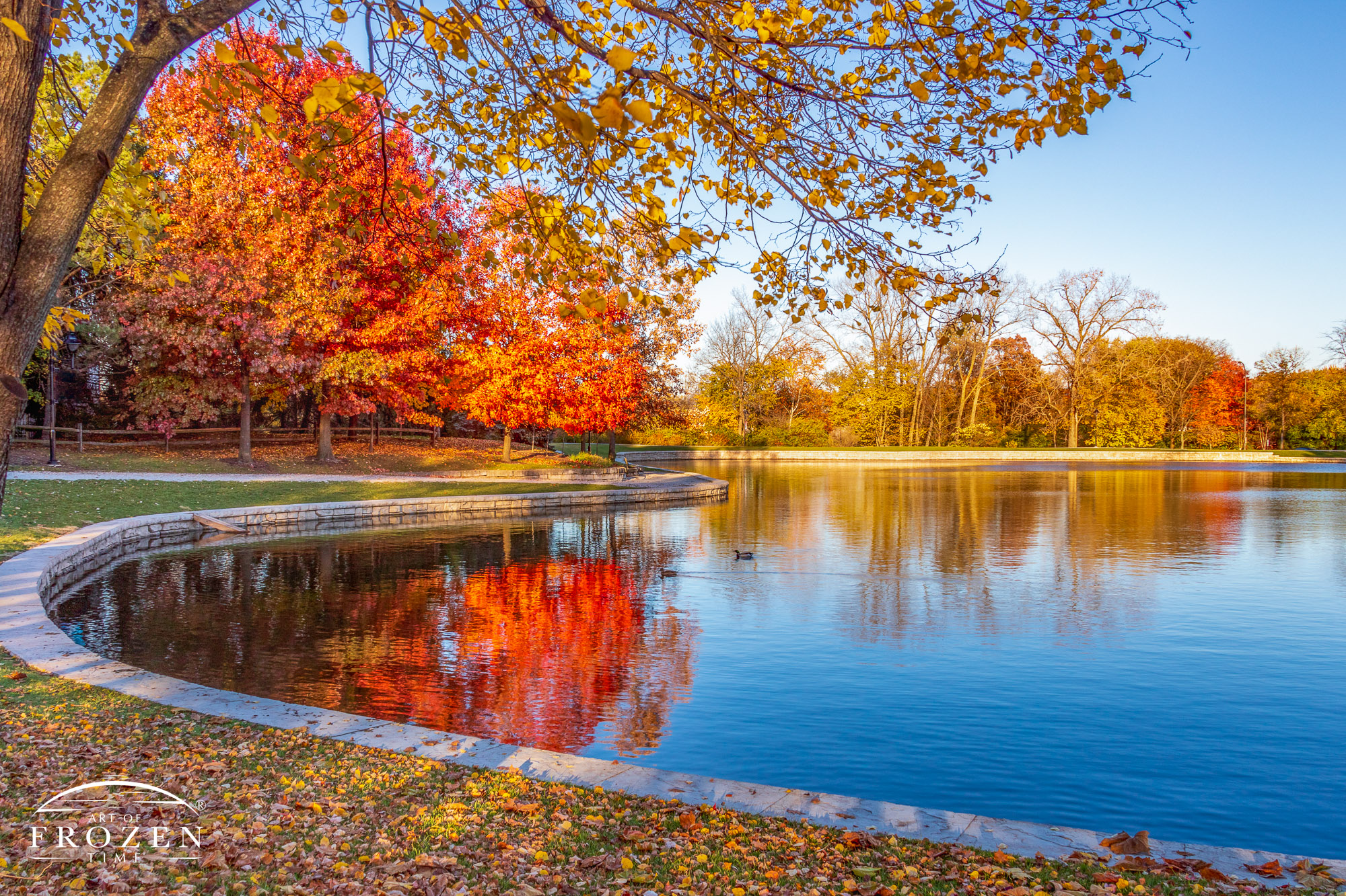 As autumn at peak color around Kettering’s Lincoln Park Pond, the setting sun painted the scene in golden light.