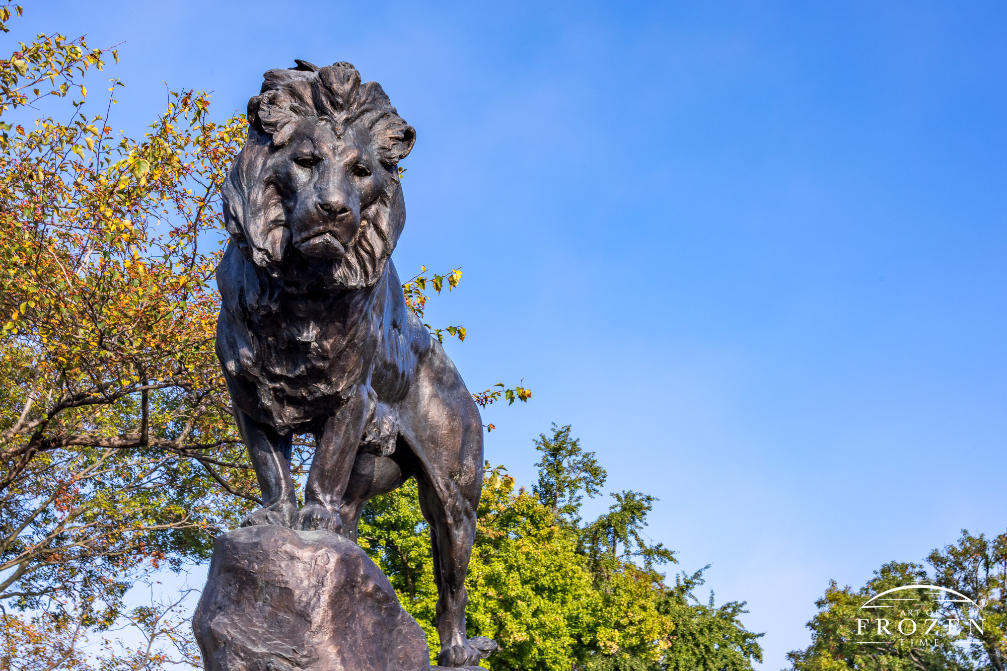 A sculpture of a male lion overlooking the Dayton skyline which once served as a mascot for Steele High School